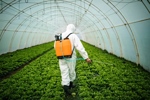 Best Best Pest Control Companies  in St James, MD