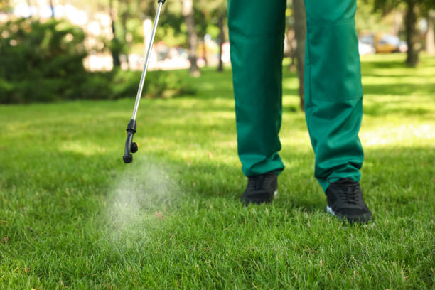 Best Rat Extermination Near Me  in St James, MD