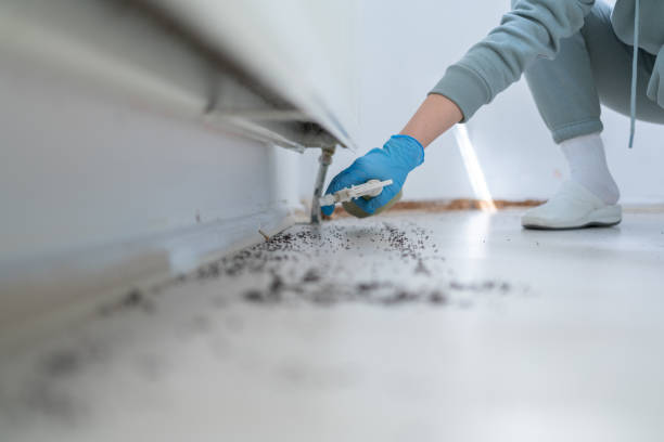 Professional Pest Control in St James, MD