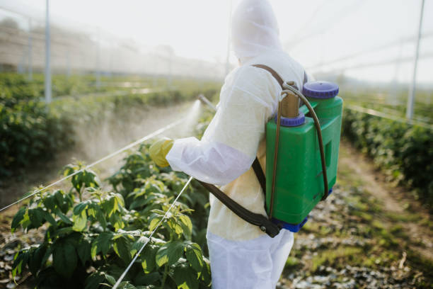 Best Wildlife Control Services  in St James, MD